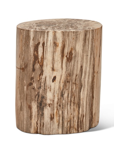 Petrified Wood Stump, Fully Polished 