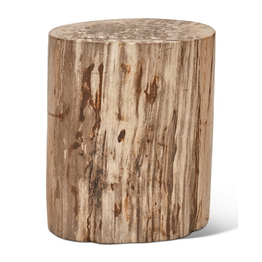 Polished Petrified Wood Stump - Natural Light